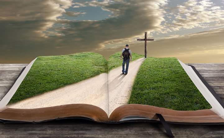 FB_IMG_1469029769938